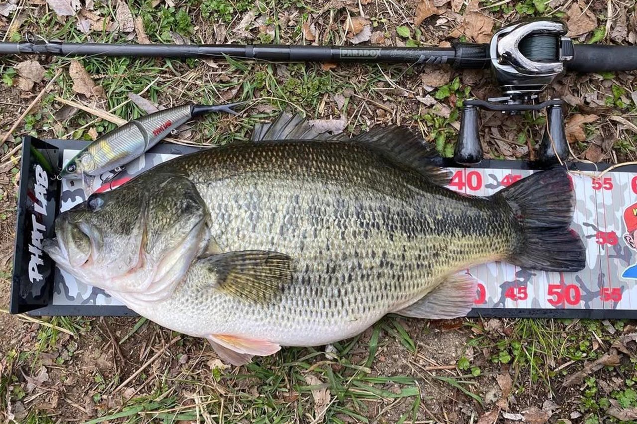 PHAT LAB NEKOSOGI XXX SHORT LIP #MAT BASS - Image 3