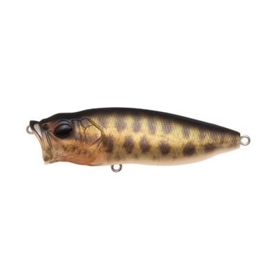 Megabass POP MAX topwater popper for bass fishing