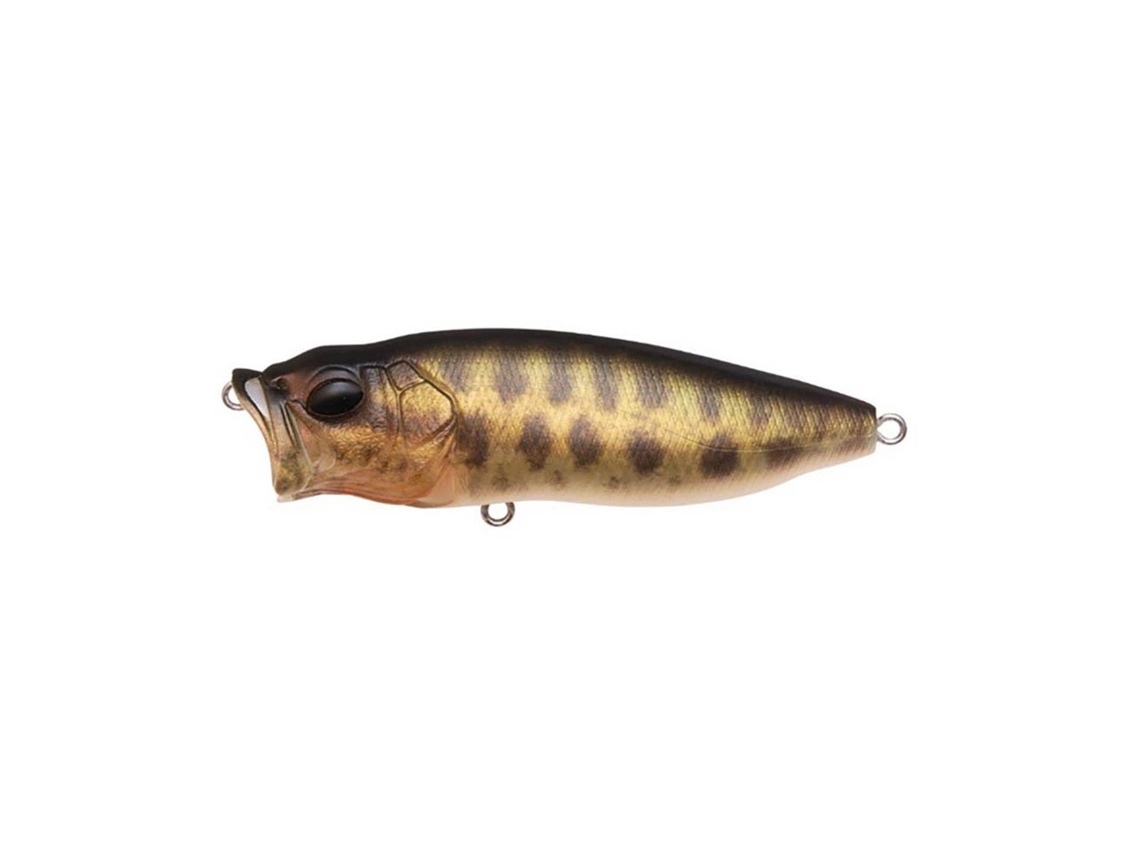 POPMAX SP-C 【GOLDEN MEDUSA】 Megabass Popmax SP-C (Special Colors) – Proadvantage.ca