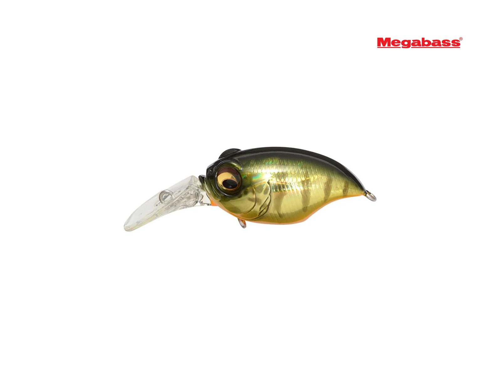 Megabass MR-X Griffon crankbait GG Kasumi Tiger