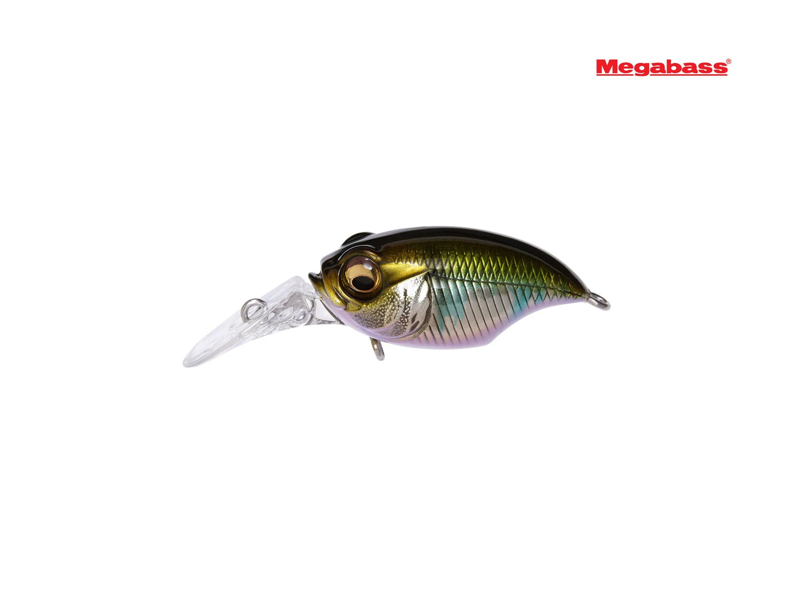 Megabass MR-X Griffon crankbait Wagin Oikawa