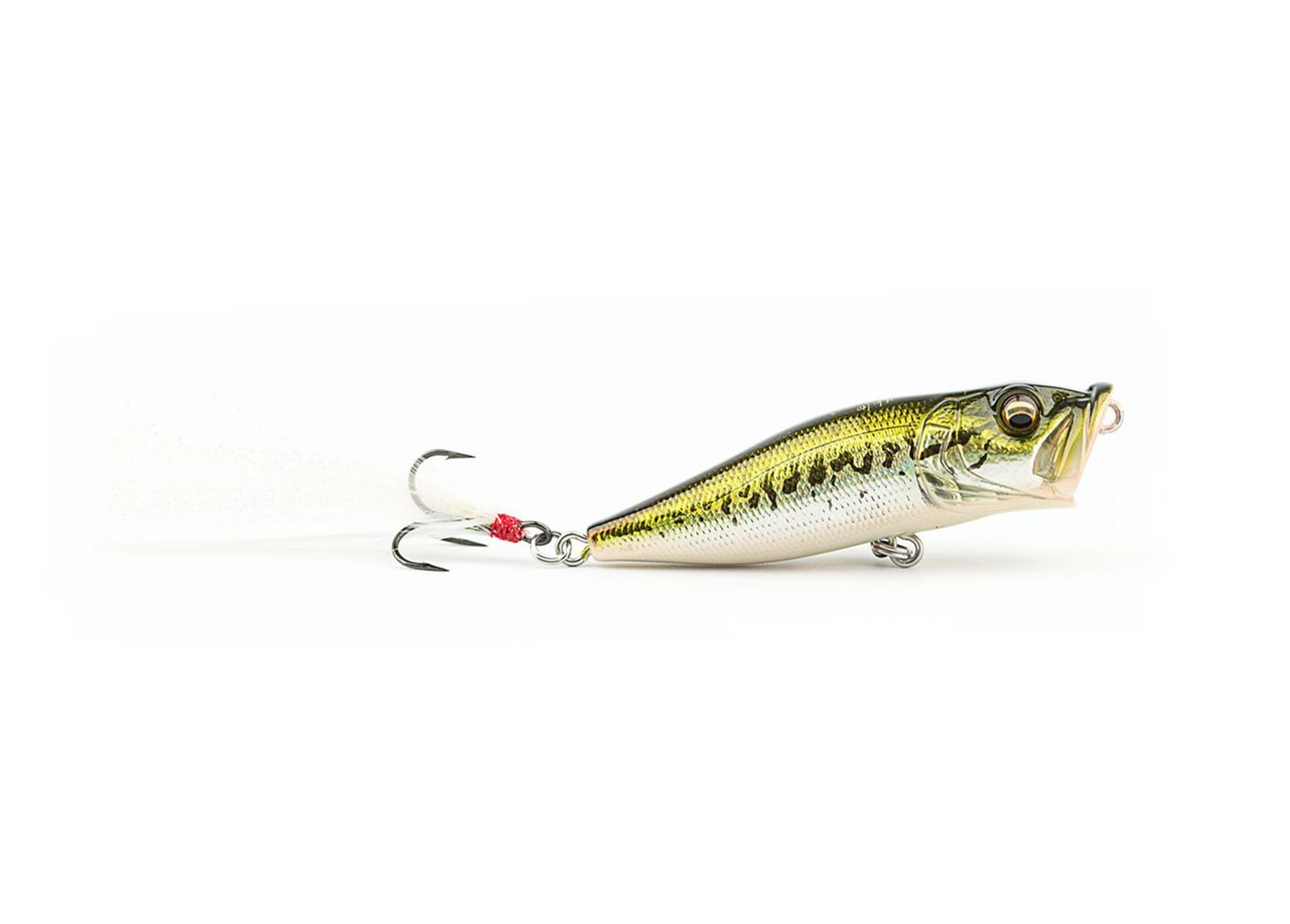 Megabass POP-X Topwater Popper | Free Shipping $99+ Canada