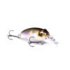 Megabass SR-X Griffon Bait Finesse (BFS) shallow crankbait front view