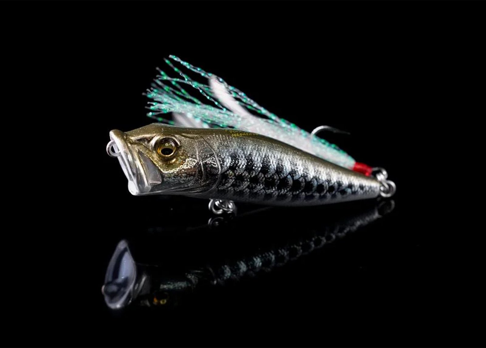 MEGABASS POP-X POPPER DRAGON FISH 2024 LIMITED - Image 2