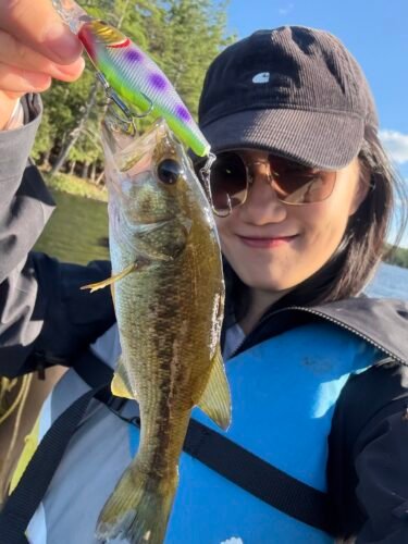 Berkley Flicker Shad 5 Shallow photo review