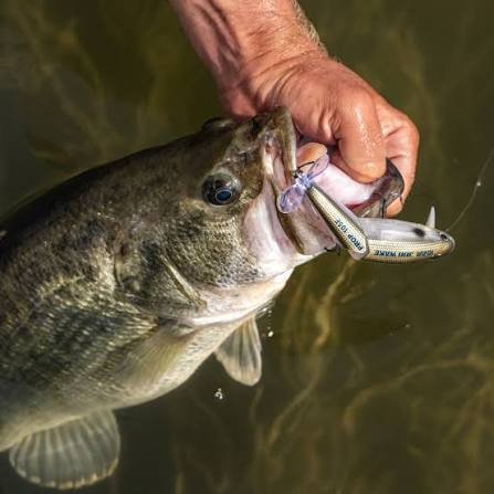 Yo-Zuri 3DB Wake Prop 85mm floating jointed topwater lure